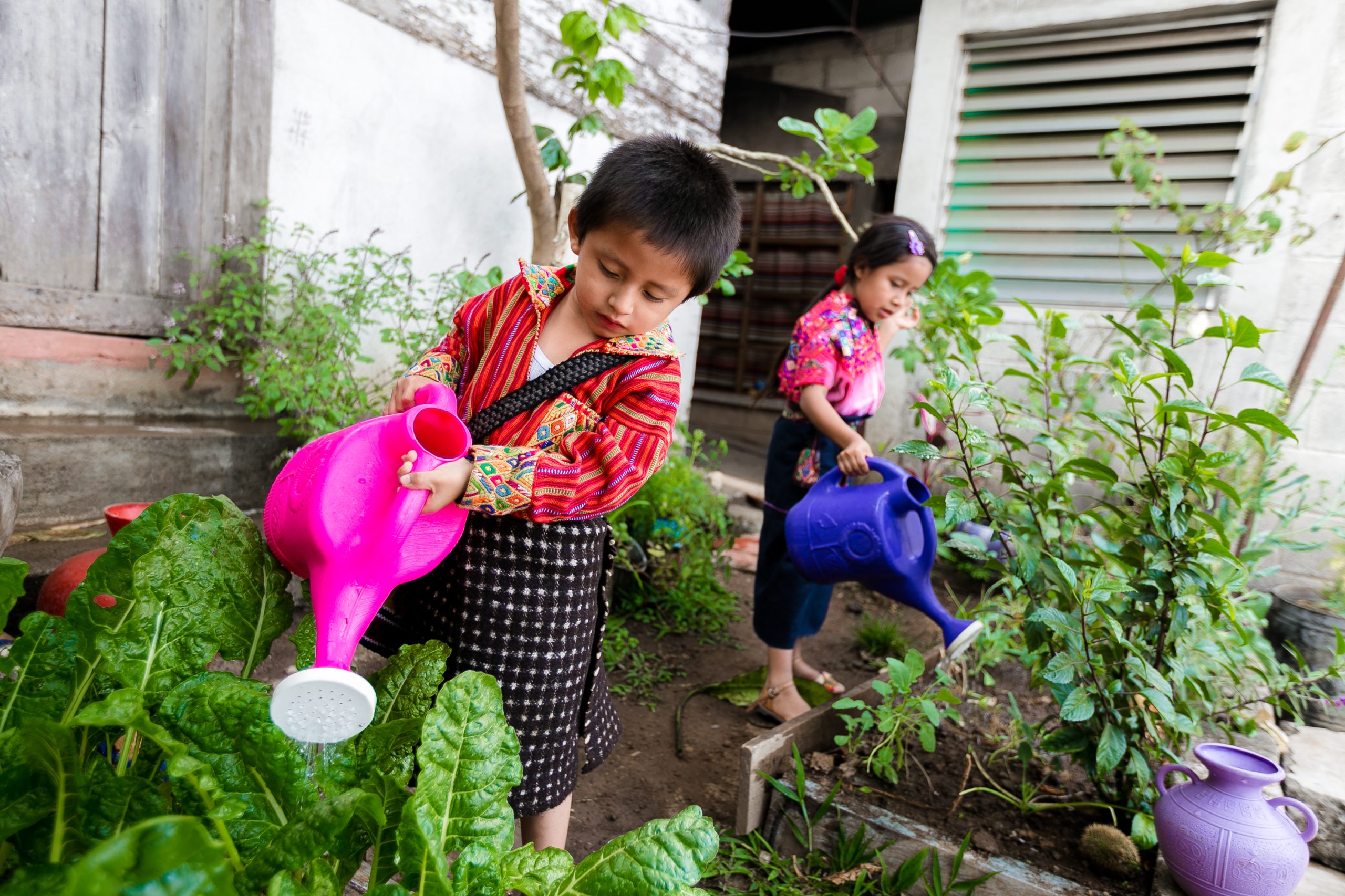 Zwei Kinder mit Gießkannen gießen Gemüse